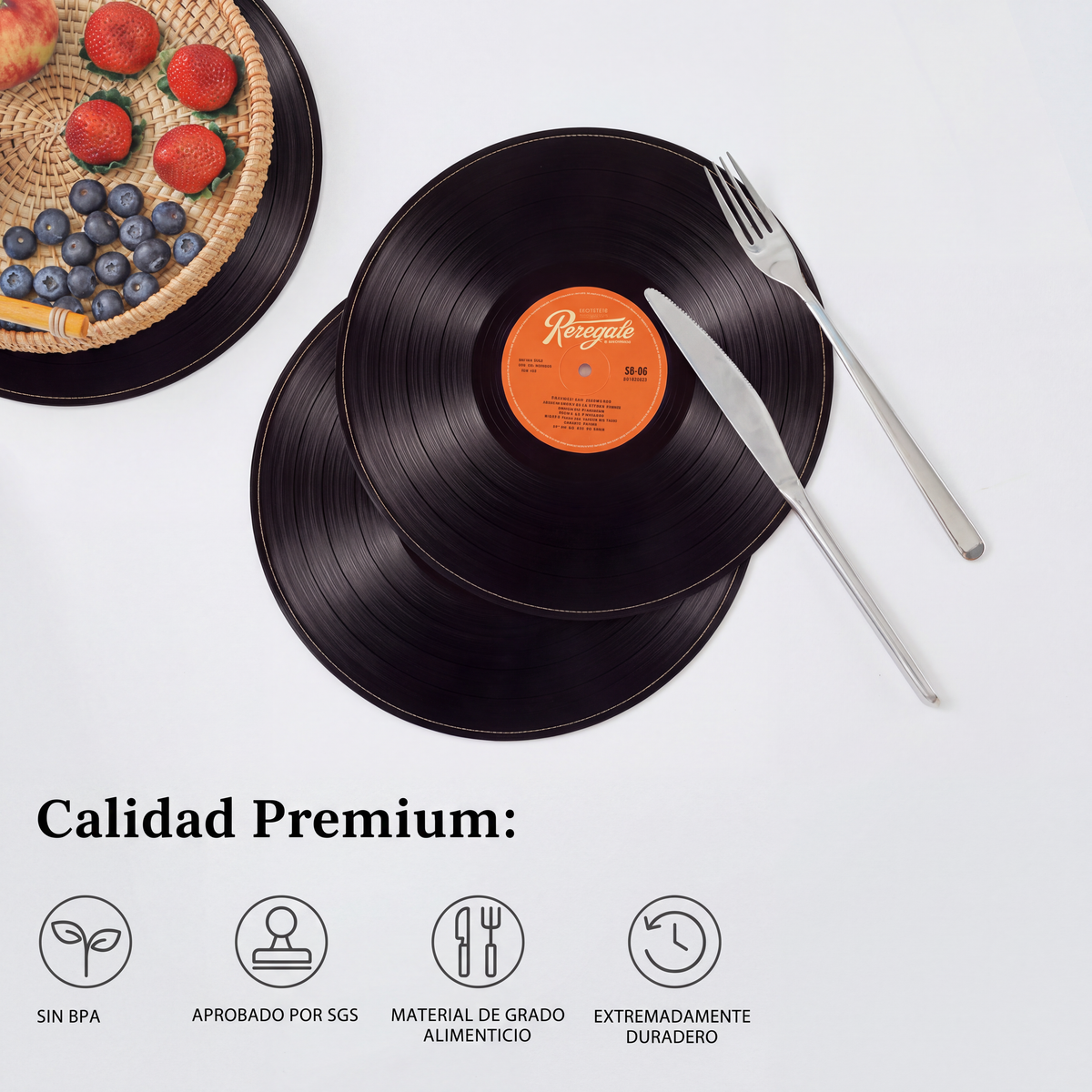 Discos Vinilos decorativos para mesa